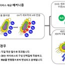 솔향기어린이집 이미지