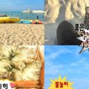 미하가든 이미지