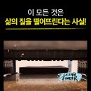 클린파인더 이미지