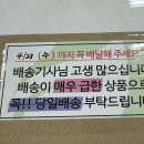 유럽여행 기내용목베개 메모리폼이라 단단폭신해