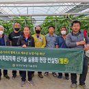 블루베리컨설팅