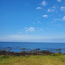 신전목장 이미지