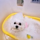 맥스이발