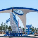 바다와 숲 이미지