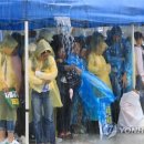 그늘막77 이미지