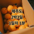 대수농장 | 5월 제주도 2박3일 여행 애월 이디국수 하례감귤체험농장, 5세 아이