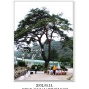 수정초 법주분교 이미지