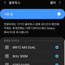 주식회사 가인인터내셔널 | 간편한 착용감, 역시 블루투스 이어폰은 브리츠 PixaTWS7