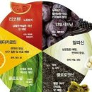 색깔별 과일 채소의 효능 이미지