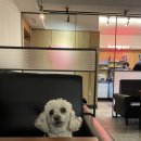 깁밥천국 이미지