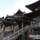 번개농장 Daum카페