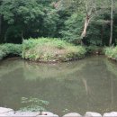 순천-46호 이미지