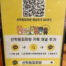 선학동 피찌방 이미지