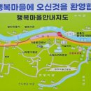 데이지 닮다 이미지