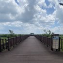 만경강길 3코스 이미지