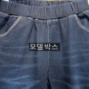 코코진 이미지
