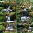 별빛 오토 캠핑장 이미지