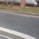 옥암자동차정비공업사 이미지