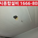 장수서창동-40 이미지