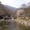 백운산민박 이미지