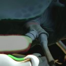 갯가재(사마귀새우)의 강력한 펀치 이미지