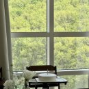 낙원빌딩 | [돌잔치 준비] 1. 소규모 돌잔치 장소 선정하기(메이필드호텔 낙원/63빌딩 백리향/더링크호텔/광명 포이에)