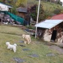 소리야네집 이미지