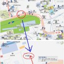 당감꼬리 이미지