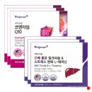 바디스콥 이미지