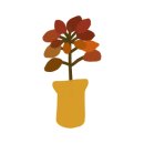 새시대한의원 이미지