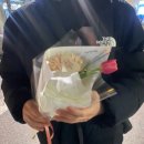 [임신 25주차] 이불 밖이 위험해도, 일단 나가는 게 맞다! (임당검사 후기, 임당시약, 임신 중기 외출)