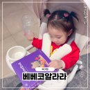 돌 아이 책추천 베베코알라 언박싱 구성품, 활용방법 내돈내산 후기