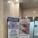 불란서안경 | 대치동에서 강남속눈썹펌, 짝짝이 눈도 깔끔하고 편안했던 솔직후기