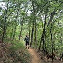 월곡지 | 청산(靑山)에서 불러보는 또 하나의 여름 별곡(別曲), &#39;달비골 평안동산(平安東山)&#39; 산길