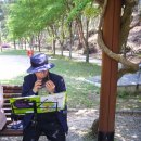 송학동 주민센터 이미지