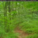 치악산자연휴양림 이미지