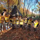 리나어린이집 이미지