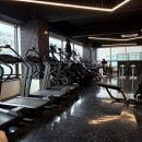 운동메이트 이미지