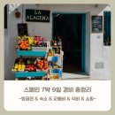 인천국제공항공사 LOADCENTER T | 스페인 여행 경비 얼마나 들었을까? 바르셀로나·그라나다·세비야 7박 9일 비용 총정리