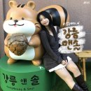강릉가볼만한곳 @강릉앤솔, 솔향이 나는 아이스크림과 이색체험 카페 추천