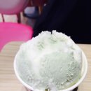 민트초코충주
