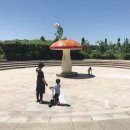 물새롬랜드오토캠핑장 이미지