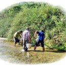 금철농장 이미지