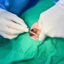 마곡베스트치과의원 이미지