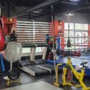 전일복싱 상무관 이미지