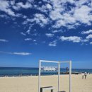 가리왕산목장 | 강릉 여행 후기