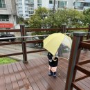 애련정로136번길 이미지