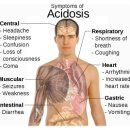 pH Values of the Human Body "인체의 부위별 정상 pH수치" 이미지