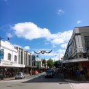 보련농장 | 뉴질랜드 워홀/ 남섬 여행 14일차,더니든 안녕, 치치 빛 축제 + 357days