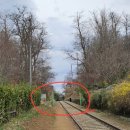 올레길 산림형 3코스 | 구로올레길 산림형 3코스 일부(항동철길 ~ 천왕산 정상) ~ 오남중학교